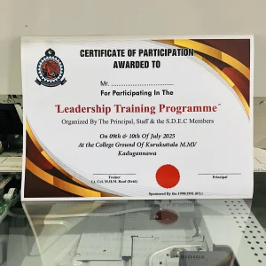 Professional Certificate